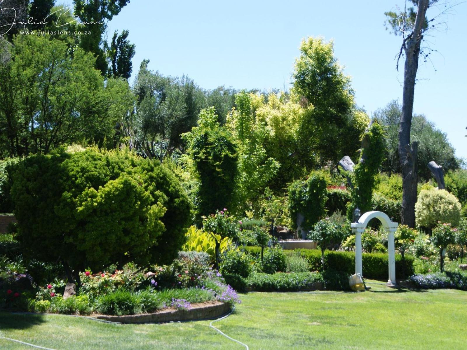 Villa Mieliefontein Karoo Guest Farm Hanover Road Esterno foto